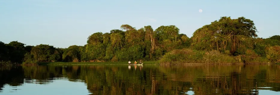 Caminhos da Descarbonização: a adição energética em ação