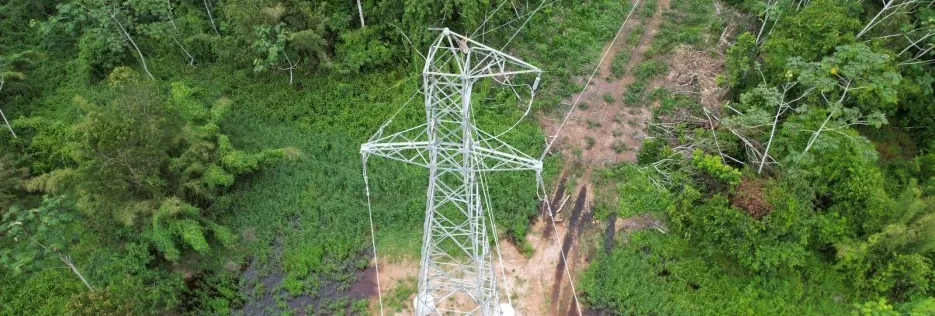 Grupo Energisa desliga 20 usinas termelétricas na Amazônia Legal e antecipa metas de descarbonização