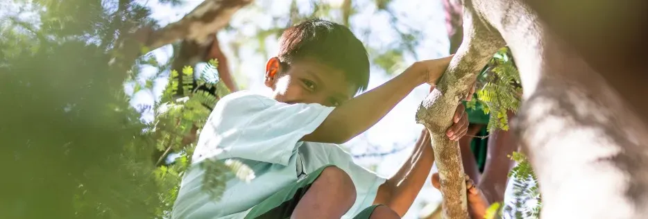 Investimentos e descarbonização impulsionam estratégia de sustentabilidade do Grupo Energisa 