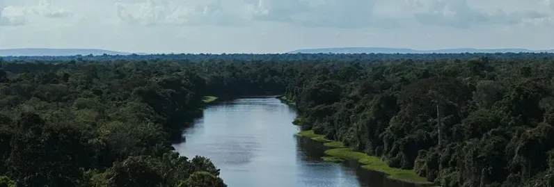 Energisa tem como meta neutralidade de carbono até 2050 