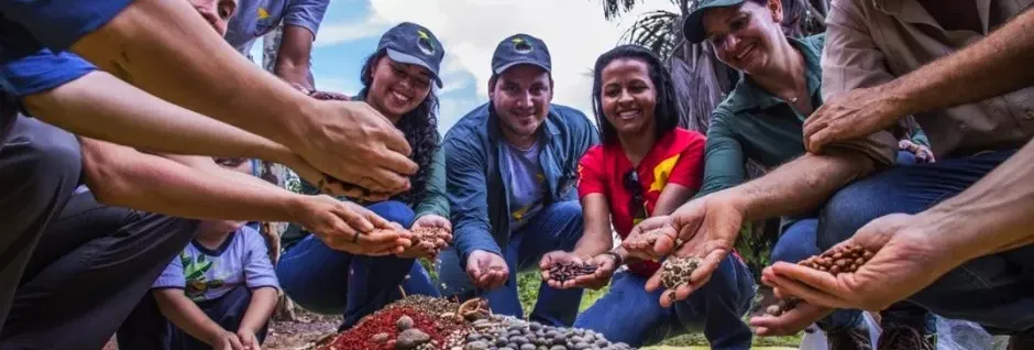 Energisa apoia programa Floresta Viva para restauração da Bacia do Xingu