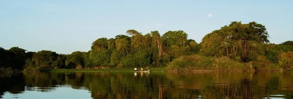 COP30: Entre ambição e realismo, o Brasil entra na era da adição energética?