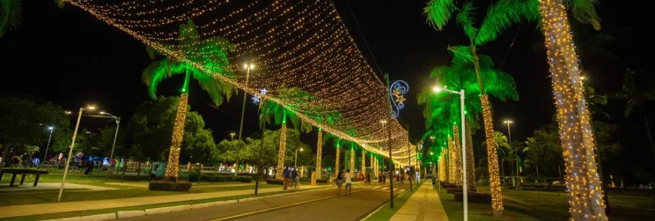 Parque da Sementeira recebe tradicional iluminação de Natal