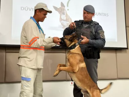 treinamento de leituristas contra ataques de animais