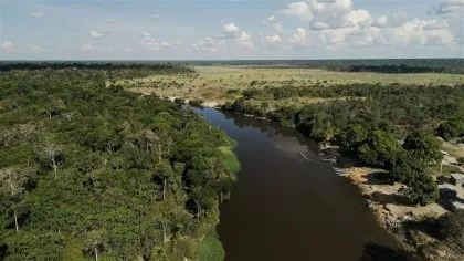 Grupo Energisa apoia projetos que unem restauração ecológica e geração de renda para comunidades locais 