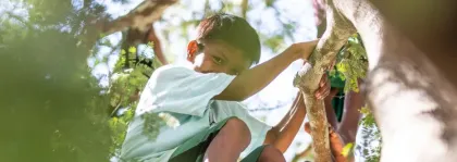 Investimentos e descarbonização impulsionam estratégia de sustentabilidade do Grupo Energisa 