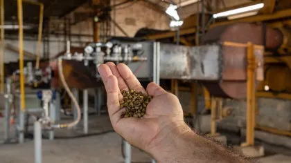Projeto pioneiro usa gás natural na secagem de café no ES