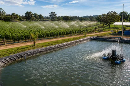 Novas regras do desconto de energia para irrigação e aquicultura