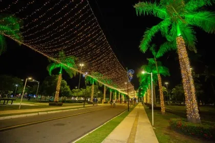 Parque da Sementeira recebe tradicional iluminação de Natal